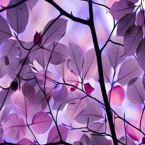 Meet your Posher, Sandy